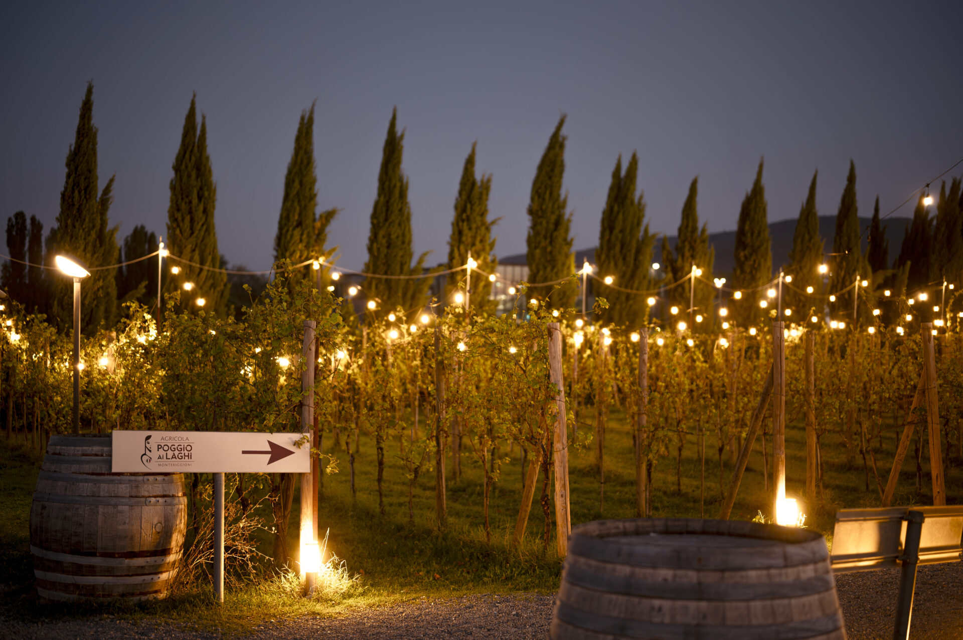 Capodanno Poggio ai Laghi Monteriggioni